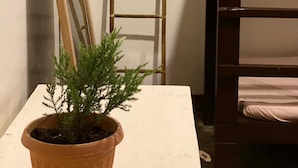 A room with a bunk bed, a ladder, a potted plant, and a sign instructing to turn off lights when not in use. - Malayah Hostel (General Luna)