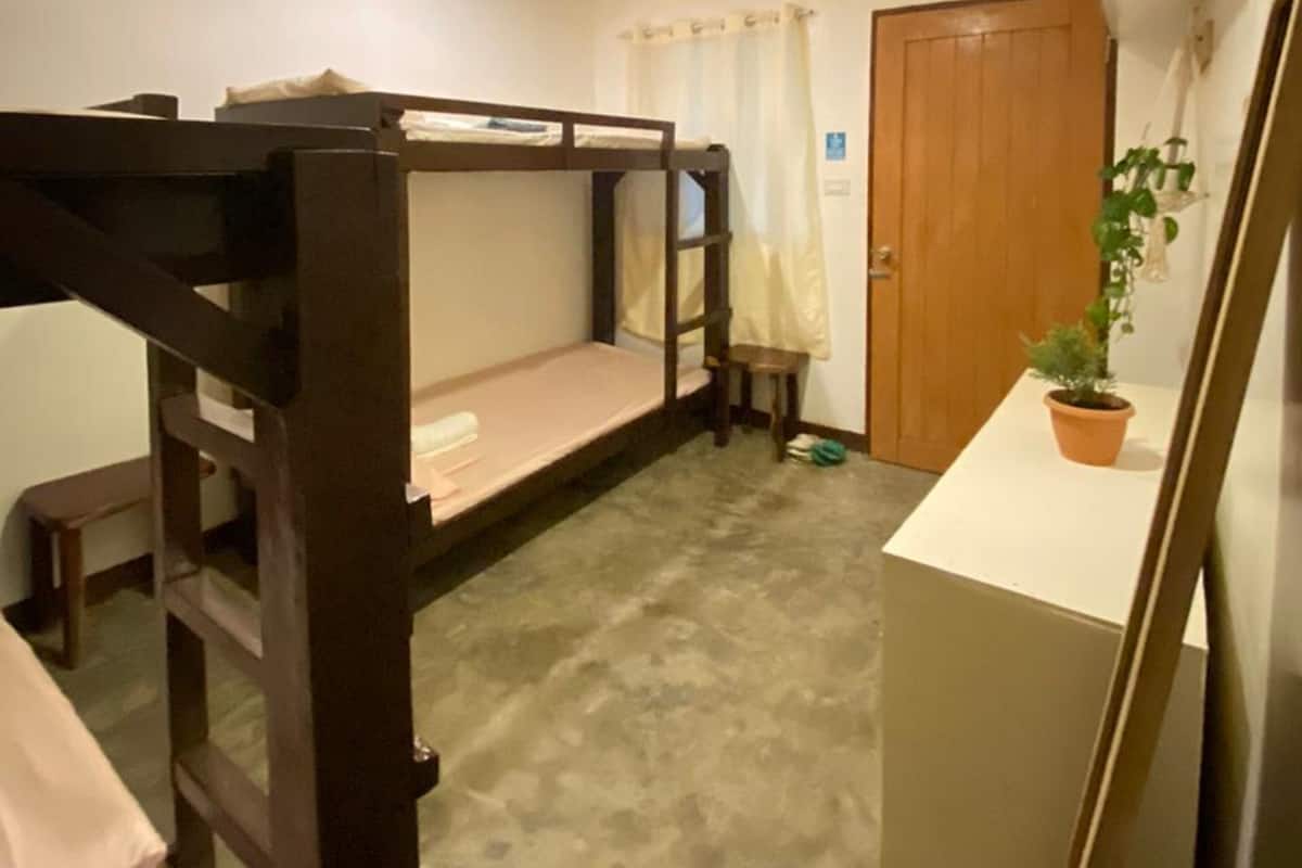 A bunk bed room with a desk and a potted plant.