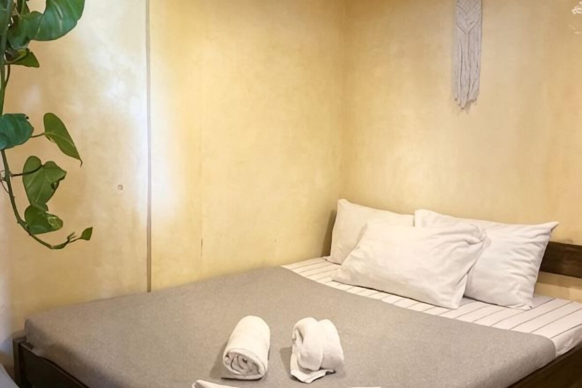 A single bed with white linens, a grey bedspread, and a plant to the left.