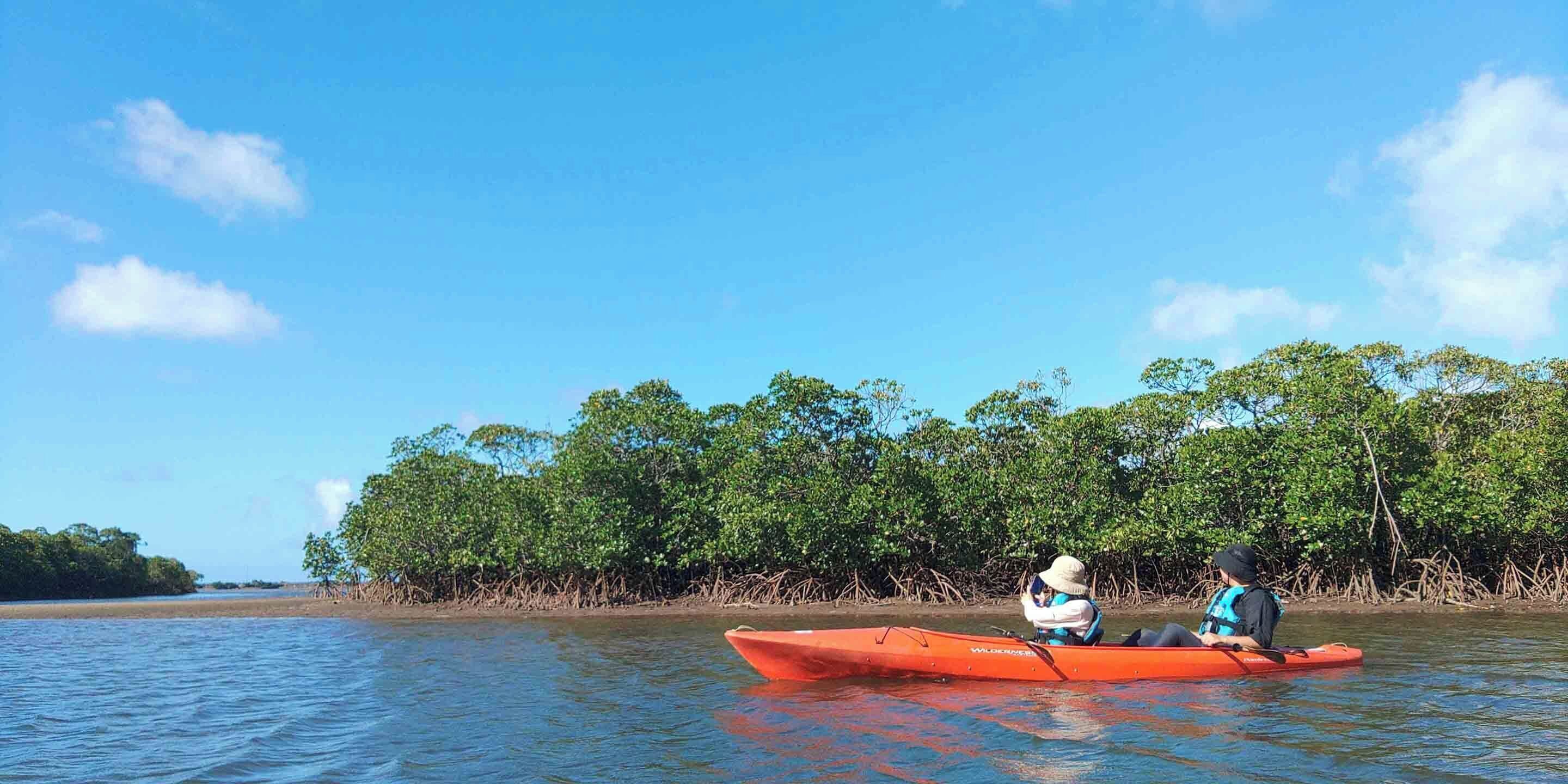 A kayak on calm water with a mangrove-lined shore in the background.