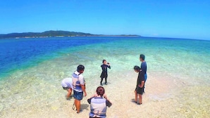 Un grupo de personas en una playa con aguas poco profundas y transparentes, y una masa de tierra a lo lejos.