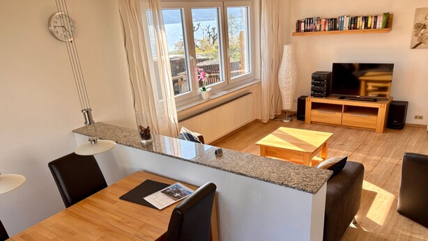 A modern kitchen with a dining area, a television, and a bookshelf. - Apartment 'Sonnenblume' with Private Terrace, Private Garden and Wi-Fi (Sipplingen)