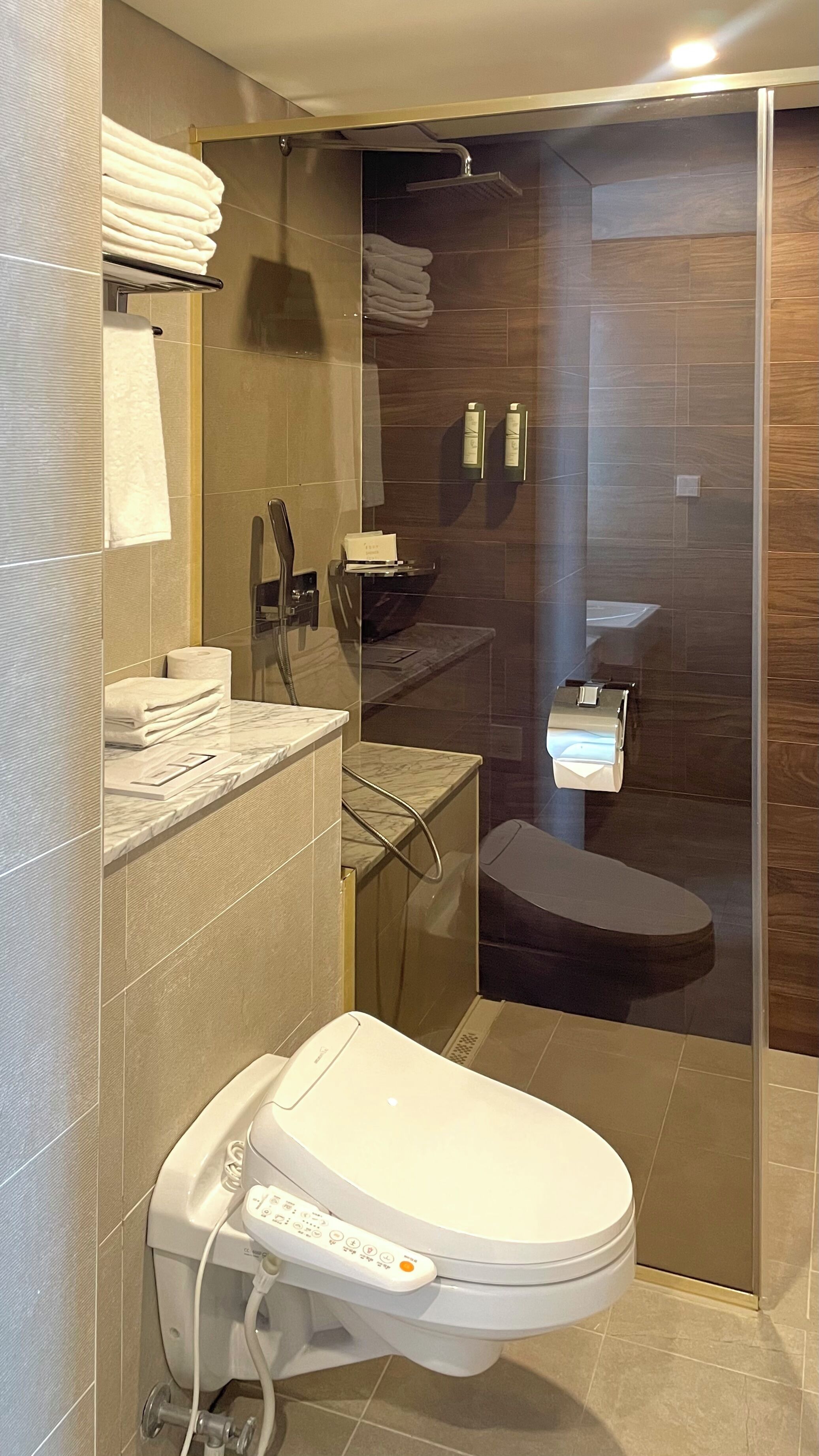 Ein modernes Badezimmer mit Toilette, einer gläsernen Dusche und einem Waschtisch mit Handtuchhalter.