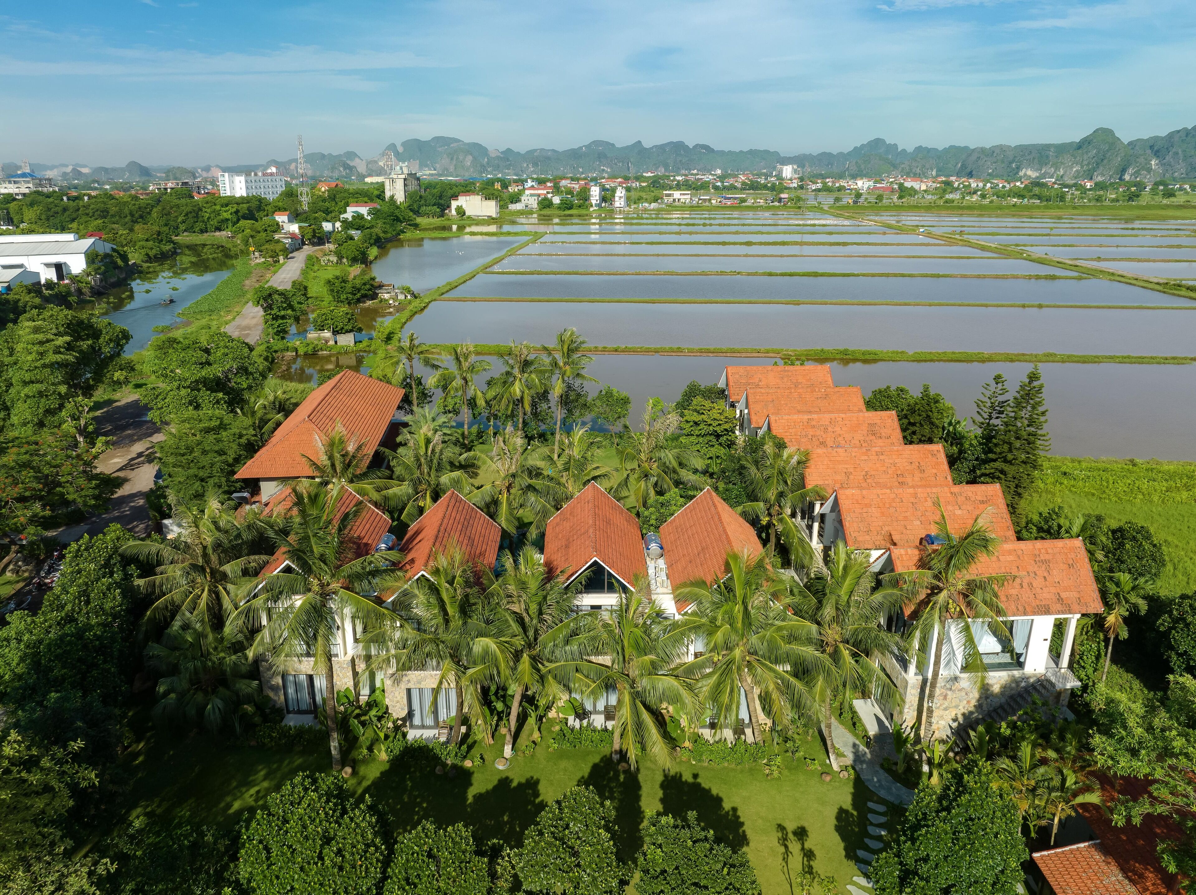 A residential area with houses featuring red-tiled roofs, surrounded by lush greenery and palm trees.