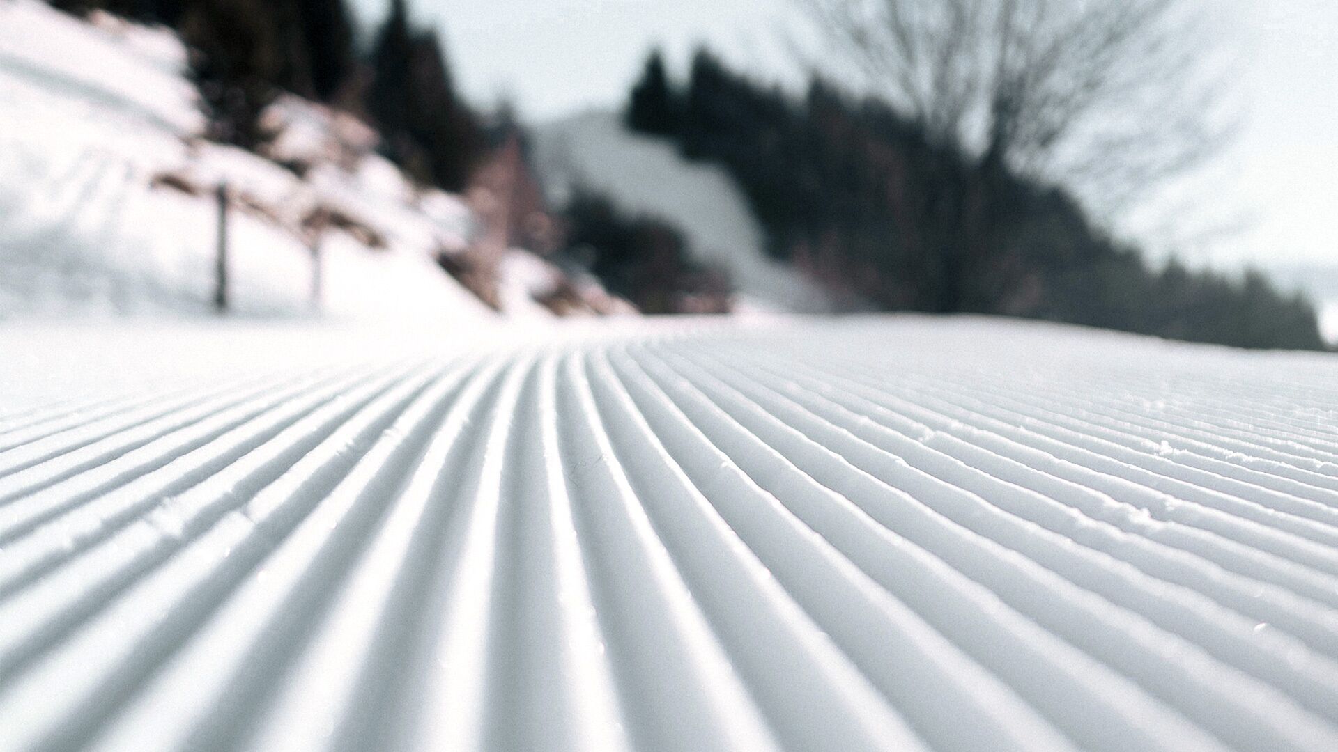 雪地及滑雪運動