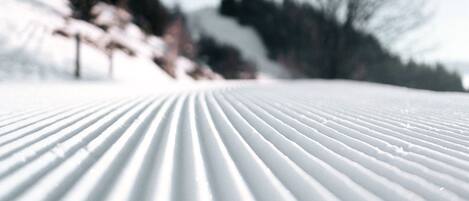 雪地及滑雪運動