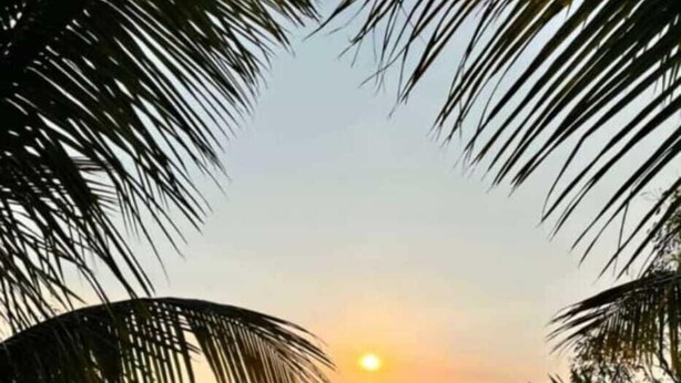 A pool with a sunset view, surrounded by palm trees. - The NIhal Resort (Mahabaleshwar)