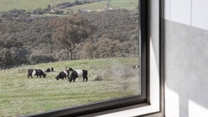A bathroom with a large window overlooking a field of cows. - The Bella Vista by Mt Bellevue - with spa and spectacular views. (Myrrhee)