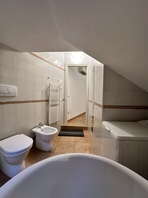Een douche, een haardroger, een bidet, handdoeken