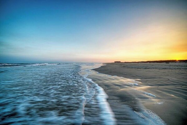 Interior - Pool, Rooftop w/ Island Views, Blocks to Beach Seas Your Dreams by Avantstay (Port Aransas)