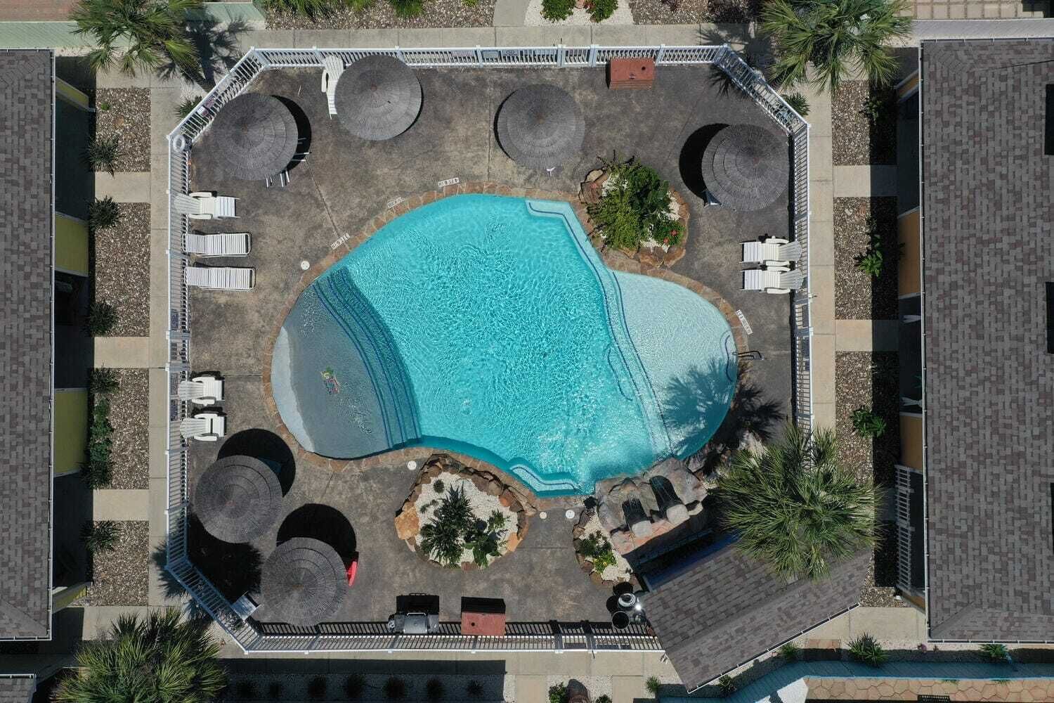 Luchtbeeld van een zwembad met ligbedden, parasols en een aangelegde tuin.