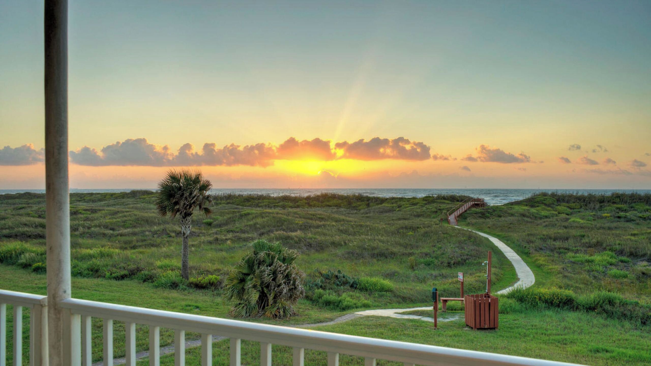 A coastal landscape with a pathway leading to the sea, a palm tree, and a wooden pier.