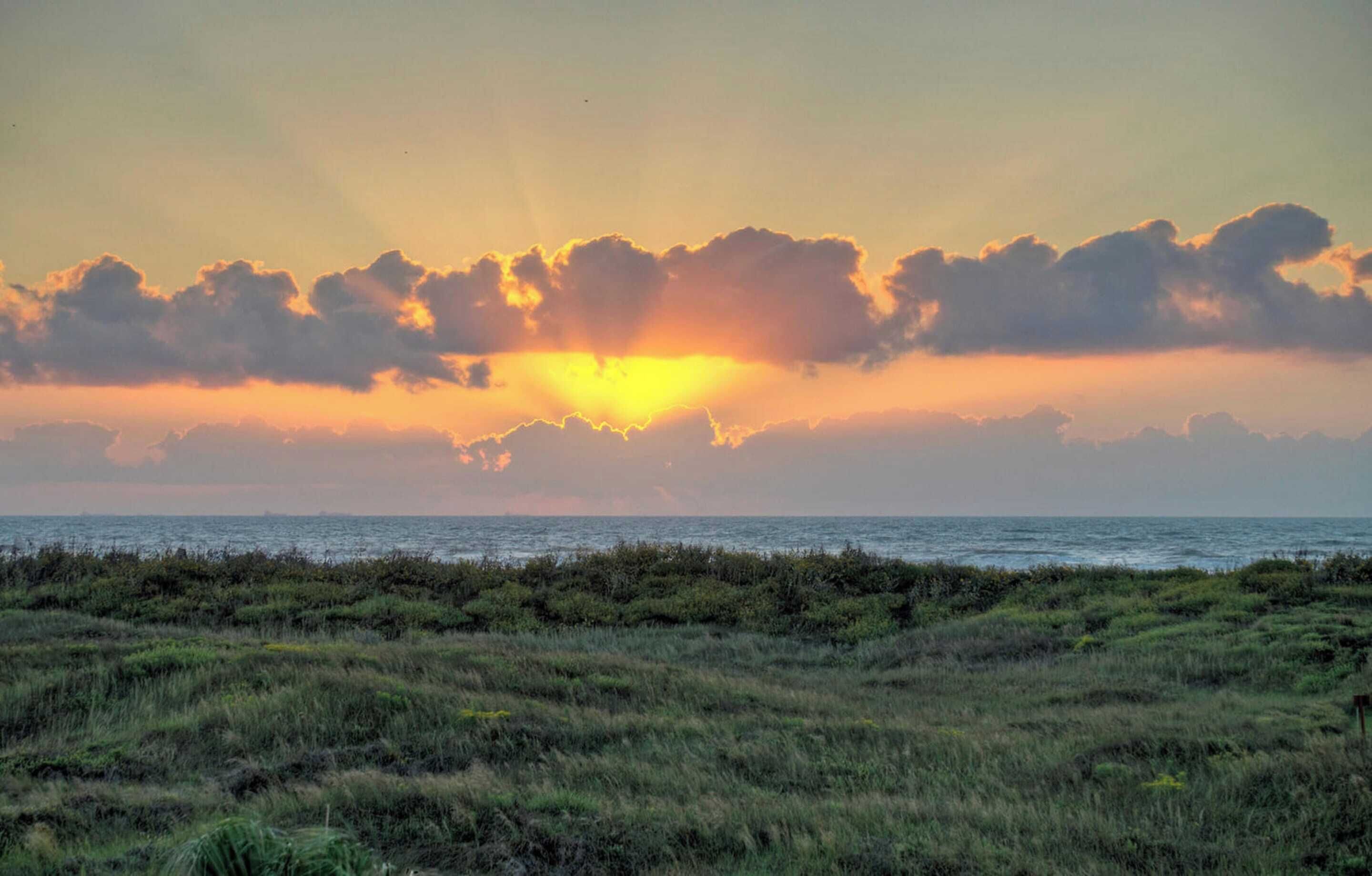A sunset over a coastal landscape with a grassy foreground and a view of the ocean.