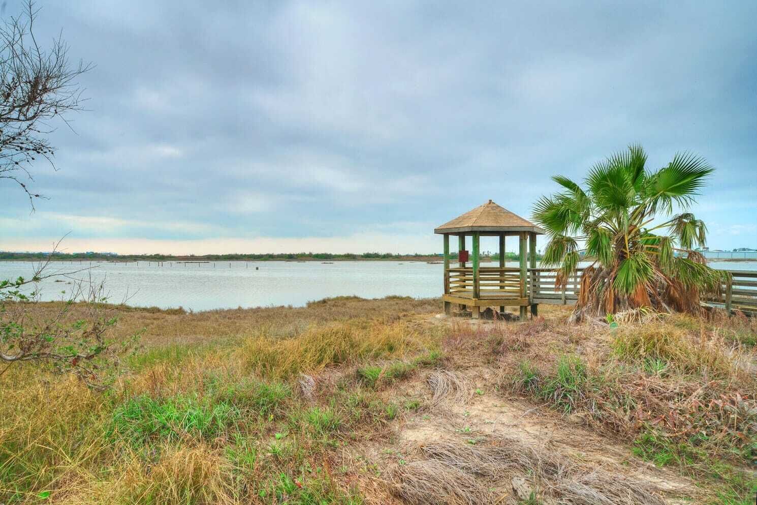 A gazebo by a lake with a palm tree nearby.
