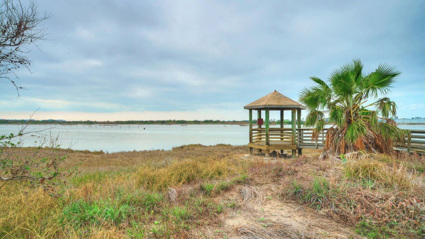 A gazebo by a body of water, surrounded by grass and palm trees.