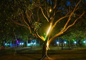 Uma árvore com luzes envoltas no tronco e nos galhos, em área externa com bancos e um prédio ao fundo.