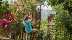 Una persona trepando por un puente de madera en un entorno verde y exuberante.