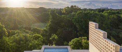 A rooftop pool with a view of a forested landscape.