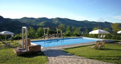 Tenuta MonteOliveto