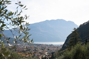 A town with a mountain backdrop, dense foliage, and a clear view of the town's layout.