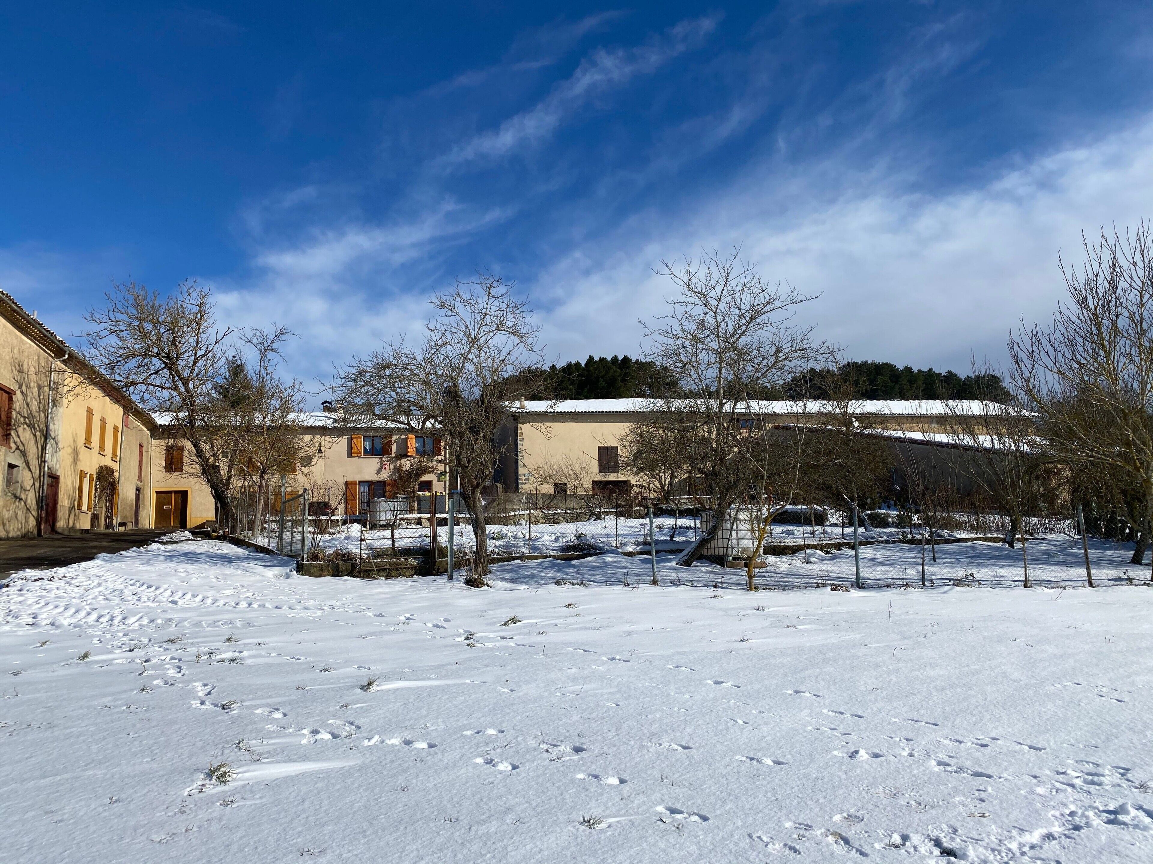 A snow-covered courtyard with buildings, bare trees, and a clear sky.