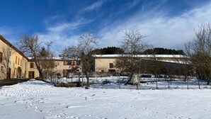 Un patio cubierto de nieve con edificios, árboles desnudos y cielo despejado.