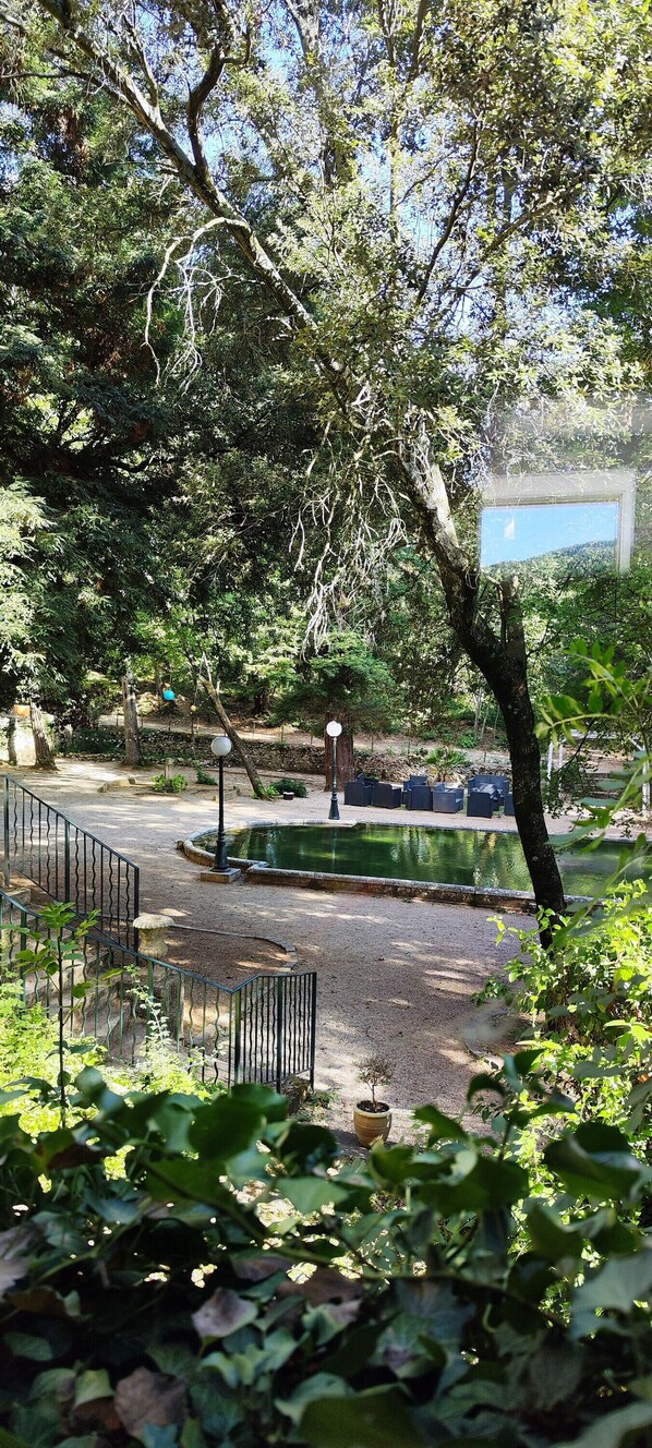 Área da propriedade