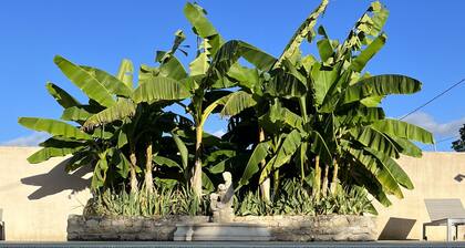 Charmantes Ferienhaus (8/10pers) im Marais Poitevin Vendée mit beheiztem Pool