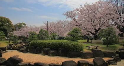 Free Parking/1 min walk from st./Renting for a whole house/Central Park nearby