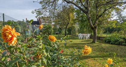 Charming 4-Bed Home with Garden, Wi-Fi, and Modern Amenities in Picardy