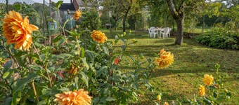 Charming 4-Bed Home with Garden, Wi-Fi, and Modern Amenities in Picardy