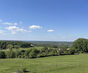 Eine ländliche Landschaft mit blauem Himmel, grünen Feldern und vereinzelten Bäumen.
