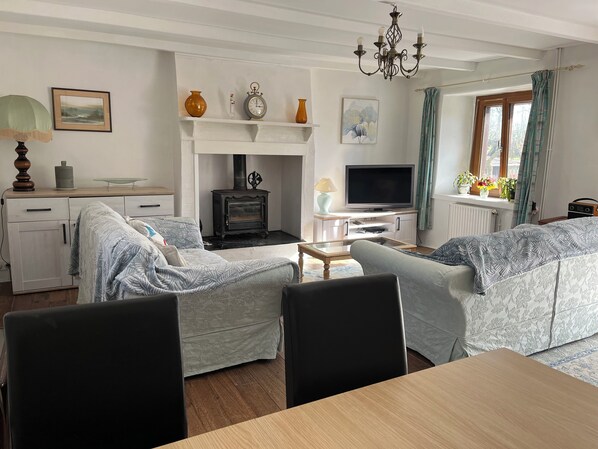 TV, fireplace, DVD player