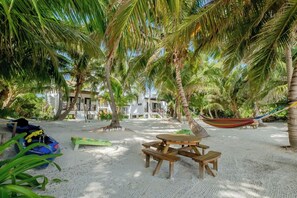 Property grounds - "EagleRay" Beachfront Cabin @ NorthBeachRetreat (San Pedro Town)
