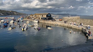 A harbor with boats docked, a building with a sign, and a rocky coastline in the background. - Seaward (Lyme Regis)