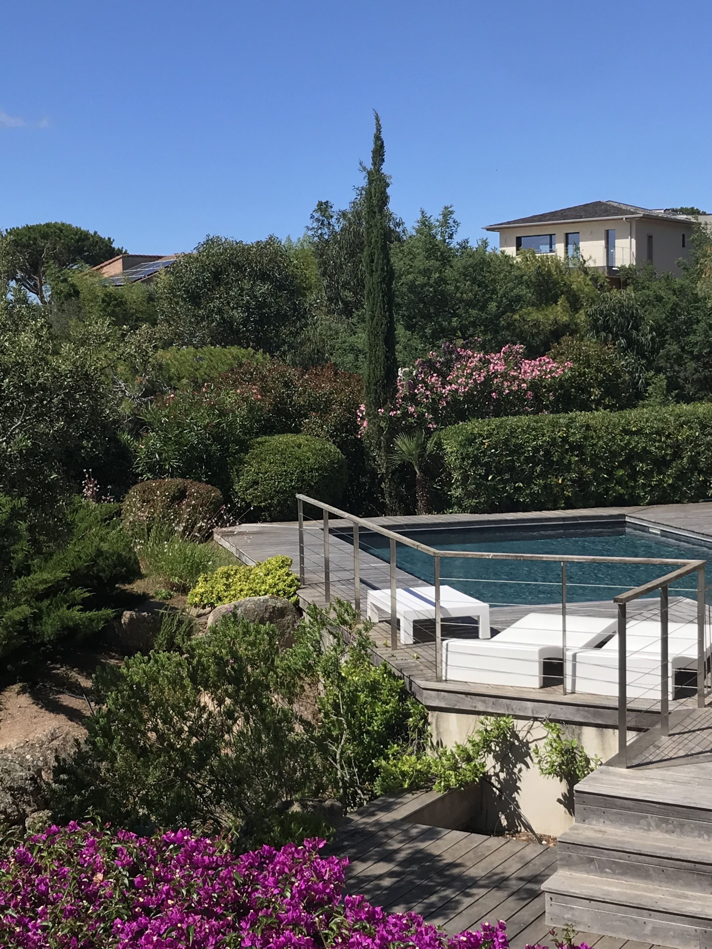 Une piscine dotée d’une terrasse en bois et de chaises longues, entourée d’une végétation luxuriante et de plantes en fleurs.
