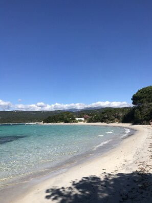 Camastros y toallas de playa 