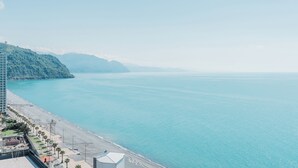 Vista desde la propiedad