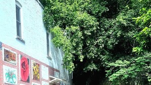 A building with colorful murals on its facade, a brick exterior, and a large tree in front. - The Moderne Suite Downtown Balcony, Parking (Eureka Springs)