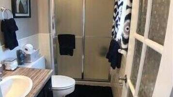 Shower, hair dryer