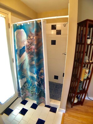 Shower, hair dryer