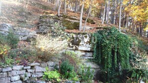 A stone retaining wall with vegetation, surrounded by trees and a forested area.
