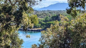 Un paisaje costero con abundante vegetación y una masa de agua azul cristalina.