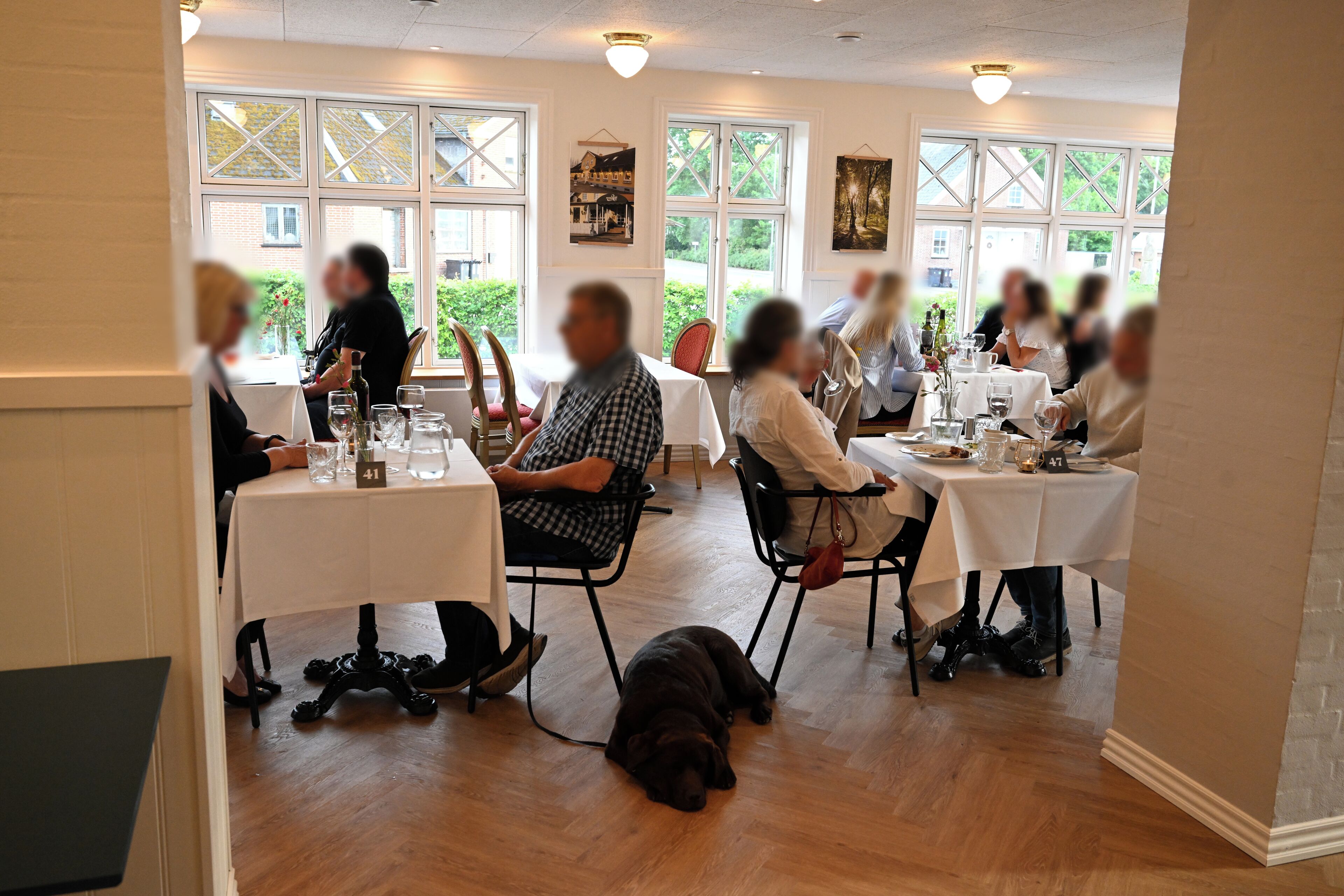 A restaurant with multiple tables, chairs, and a large dog lying on the floor.