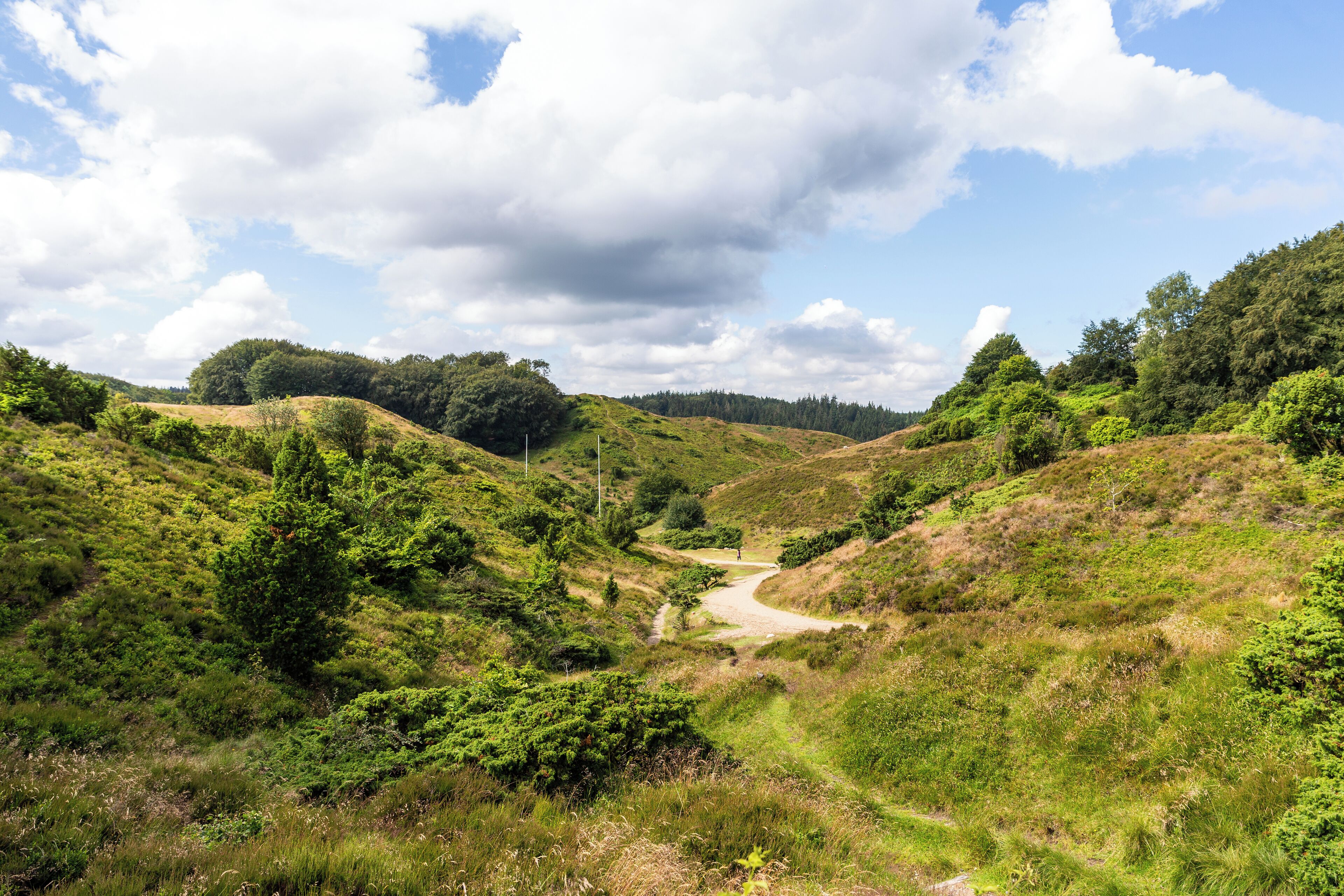 A natural landscape with a dirt path leading through a hilly area with dense greenery and trees.
