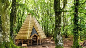 A wooden cabin in a forest with a thatched roof, surrounded by trees and moss. - Rold Gl. Kro (Arden)