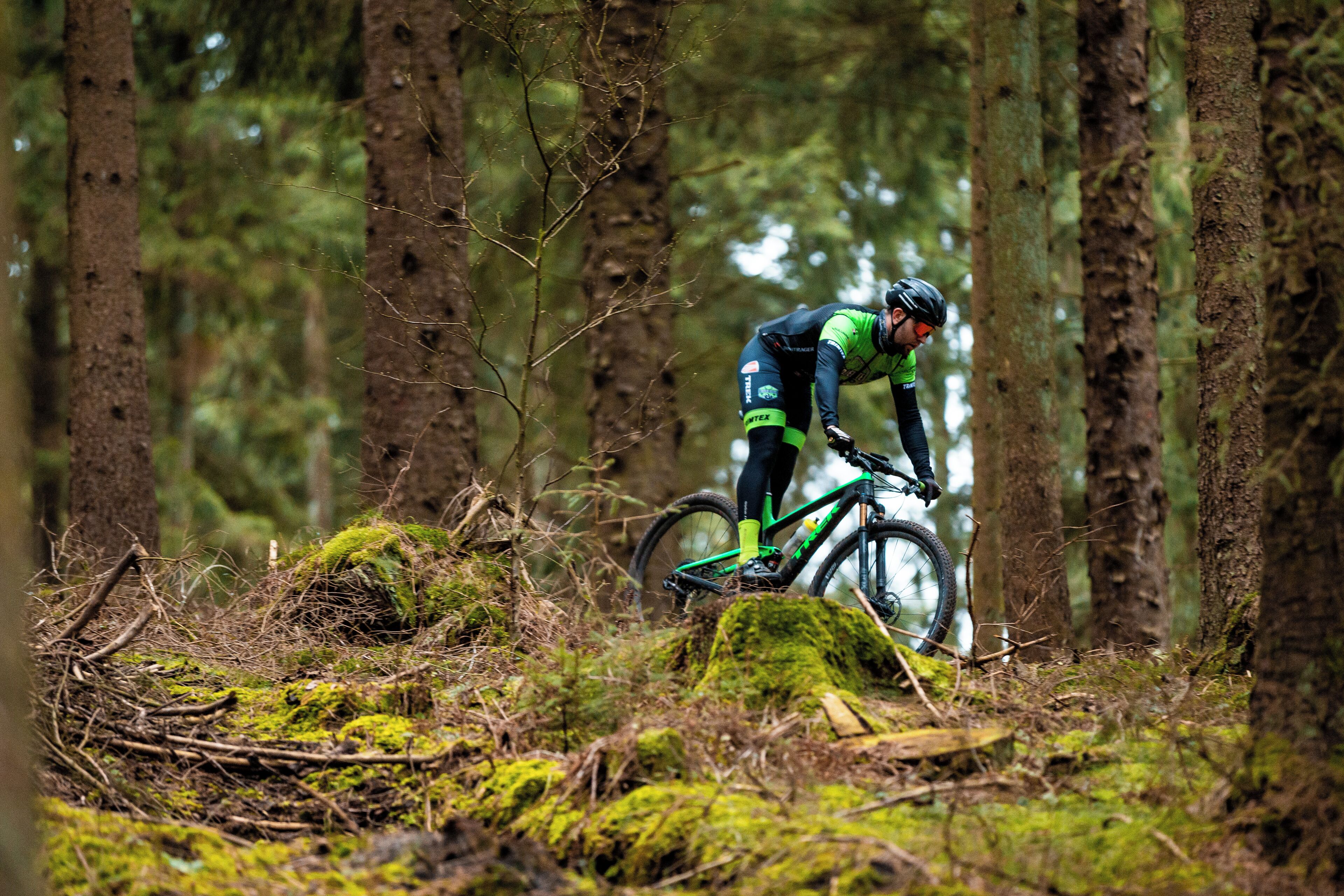 A mountain biker navigating a forest trail.
