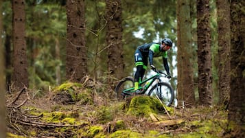 Un ciclista de montaña recorre un sendero en el bosque.