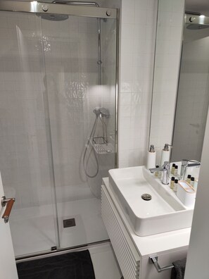 Regadera, secadora de cabello, bidet, toallas