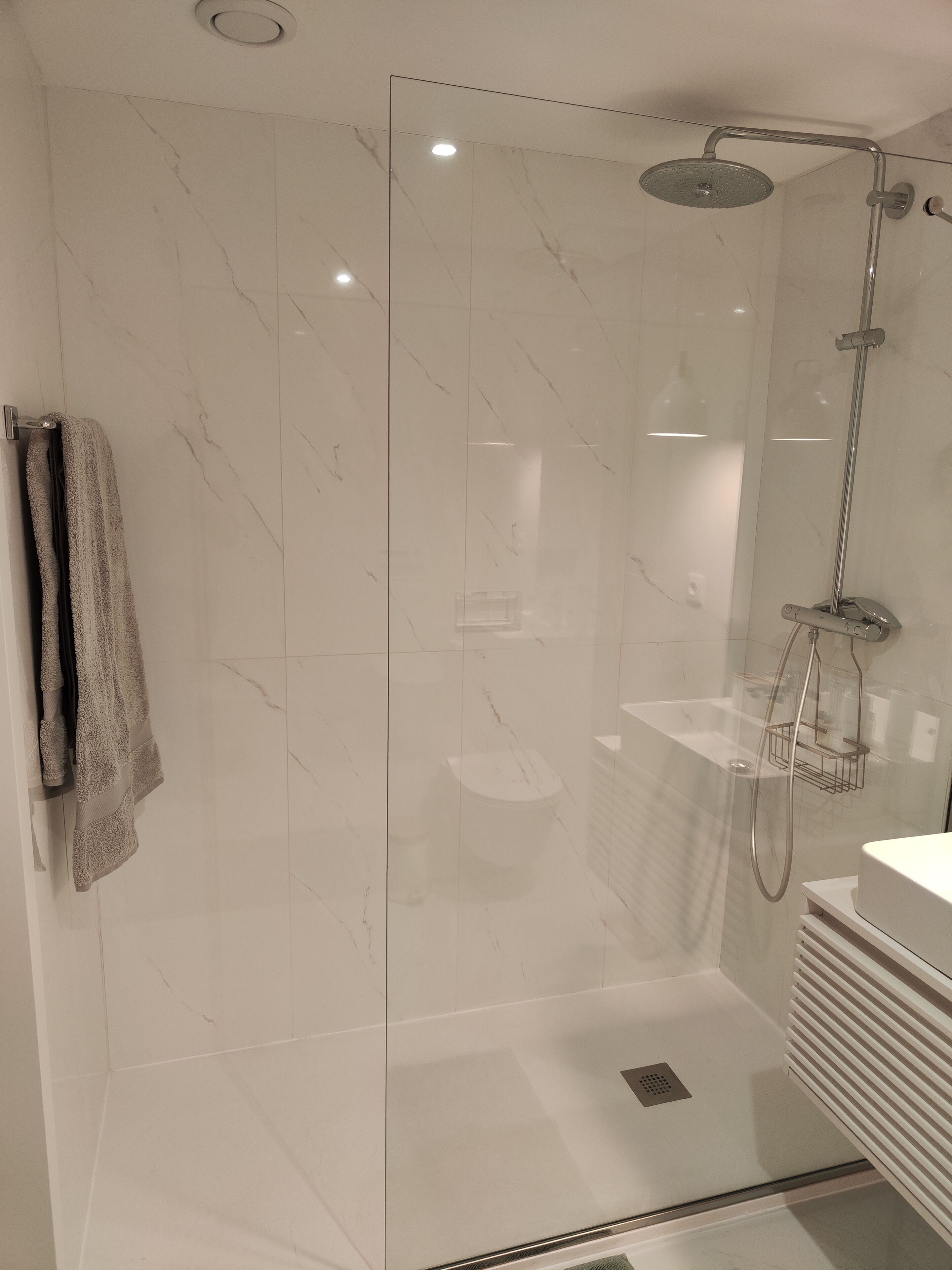 Shower, hair dryer, bidet, towels